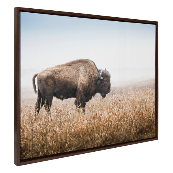 kate & laurel Sylvie American Bison Buffalo in Prairie Grass Framed Canvas by Warren Metcalf