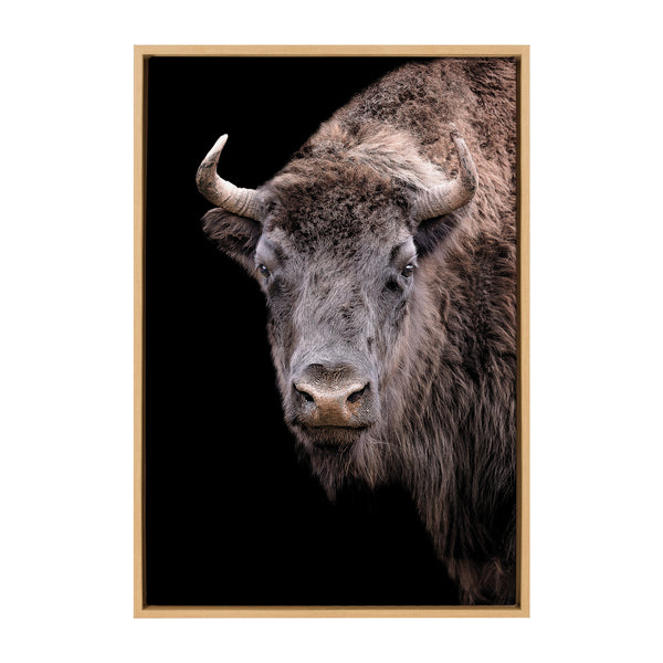 Kate & Laurel Sylvie American Bison Buffalo Yellowstone Wildlife Animal Framed Canvas By Xyo