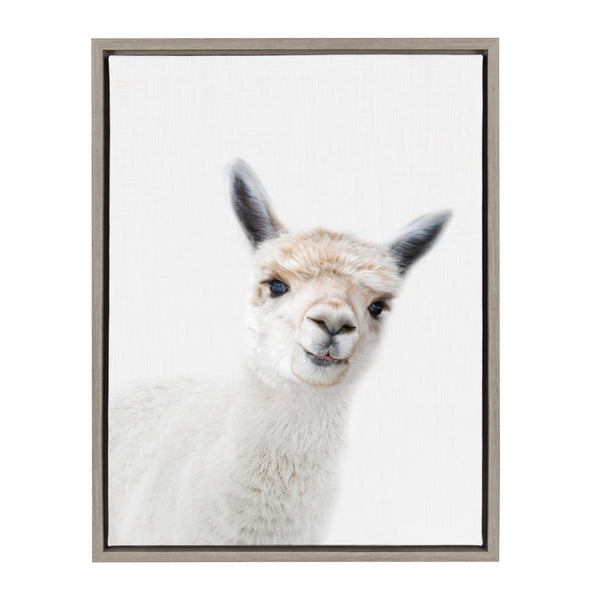 Kate & Laurel Sylvie Animal Studio Alpaca Framed Canvas By Amy Peterson Art Studio