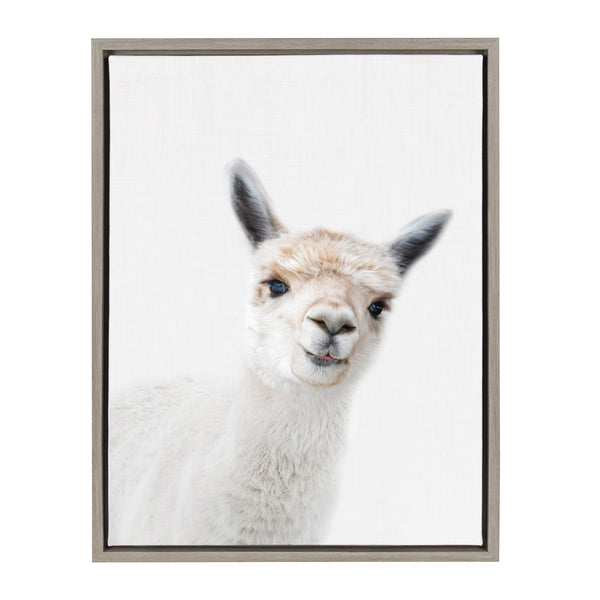 kate & laurel Sylvie Animal Studio Alpaca Framed Canvas by Amy Peterson Art Studio