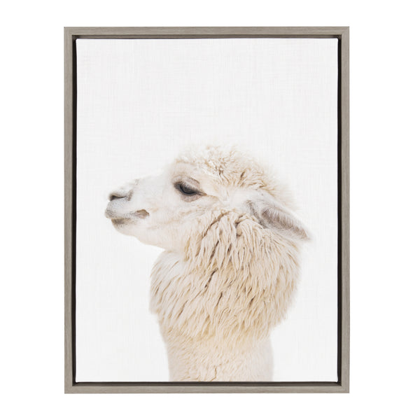 kate & laurel Sylvie Animal Studio Alpaca Profile Framed Canvas by Amy Peterson Art Studio