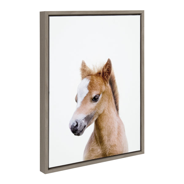 Kate & Laurel Sylvie Animal Studio Baby Horse Framed Canvas By Amy Peterson Art Studio