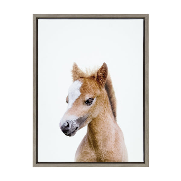 Kate & Laurel Sylvie Animal Studio Baby Horse Framed Canvas By Amy Peterson Art Studio