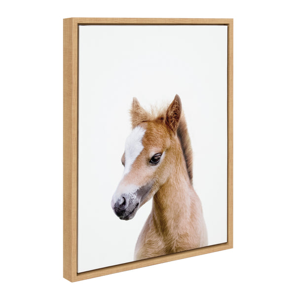 kate & laurel Sylvie Animal Studio Baby Horse Framed Canvas by Amy Peterson Art Studio