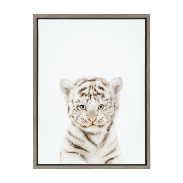 Kate & Laurel Sylvie Animal Studio Baby White Tiger Framed Canvas By Amy Peterson Art Studio
