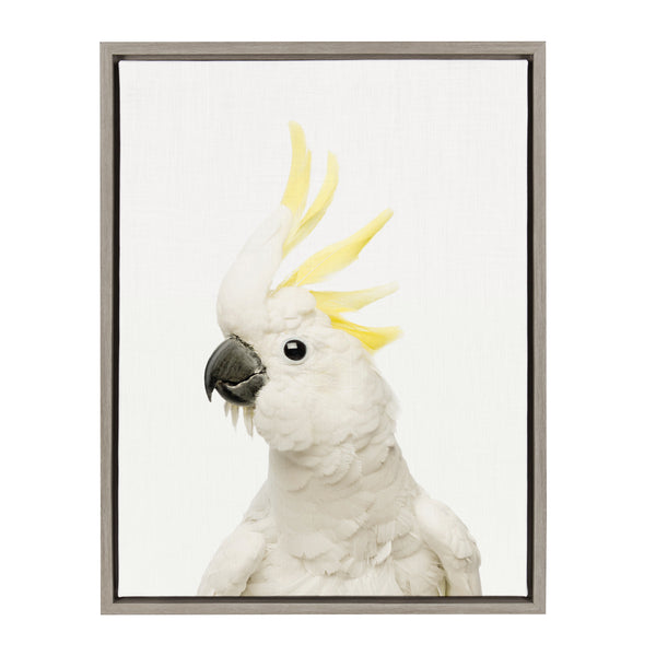 kate & laurel Sylvie Animal Studio Bird Framed Canvas by Amy Peterson Art Studio
