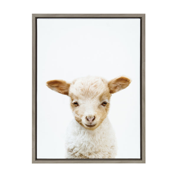 Kate & Laurel Sylvie Animal Studio Lamb Framed Canvas By Amy Peterson Art Studio
