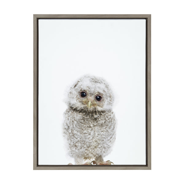 Kate & Laurel Sylvie Animal Studio Owl Framed Canvas By Amy Peterson Art Studio