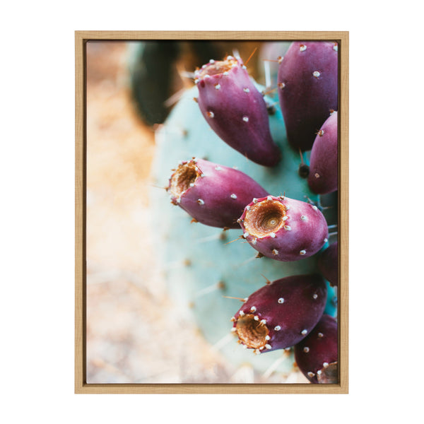 Kate & Laurel Sylvie Arizona Prickly Pear Cactus Framed Canvas By Stephanie Klatt