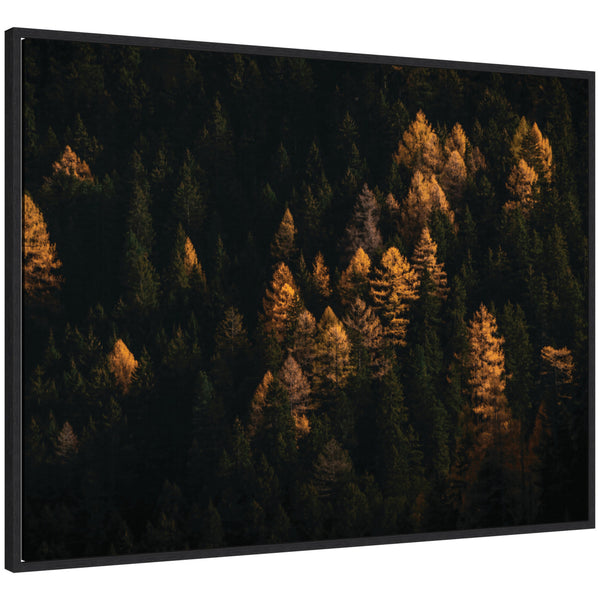 Kate & Laurel Sylvie Autumnal Mountain Pines During Sunset Framed Canvas By Michael Schauer
