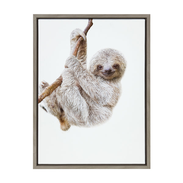 Kate & Laurel Sylvie Baby Sloth Hanging Around Framed Canvas By Amy Peterson Art Studio