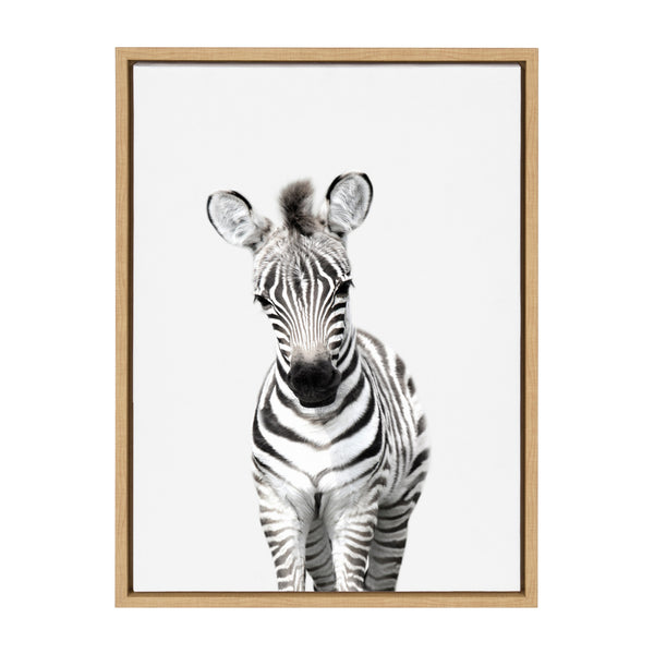 Kate & Laurel Sylvie Baby Zebra Framed Canvas By Amy Peterson
