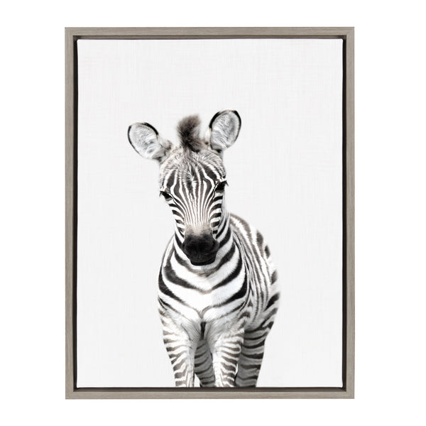 kate & laurel Sylvie Baby Zebra Framed Canvas by Amy Peterson