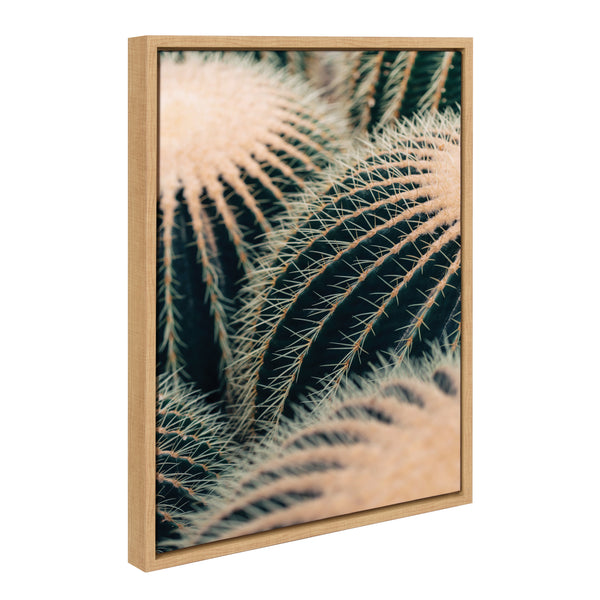 Kate & Laurel Sylvie Barrel Cactus Framed Canvas By Alicia Bock