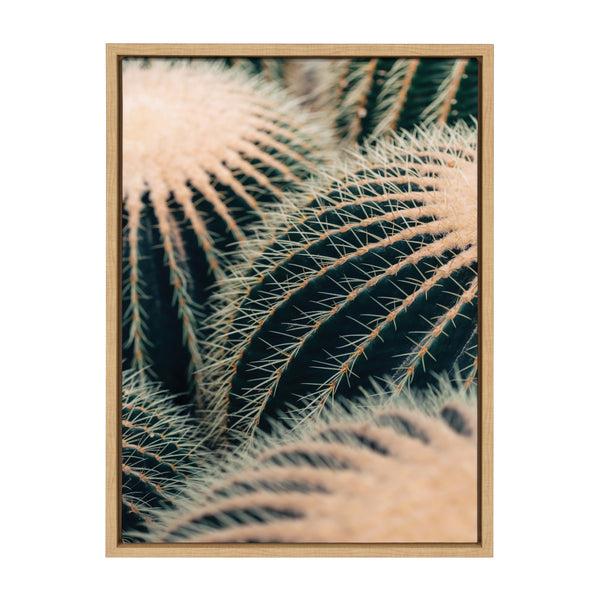 Kate & Laurel Sylvie Barrel Cactus Framed Canvas By Alicia Bock
