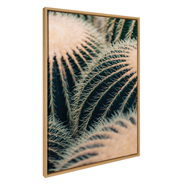 kate & laurel Sylvie Barrel Cactus Framed Canvas by Alicia Bock