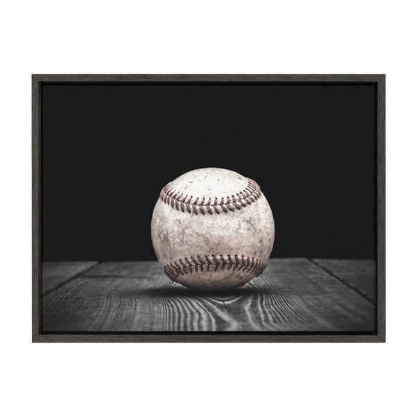 kate & laurel Sylvie Baseball Framed Canvas by Shawn St. Peter