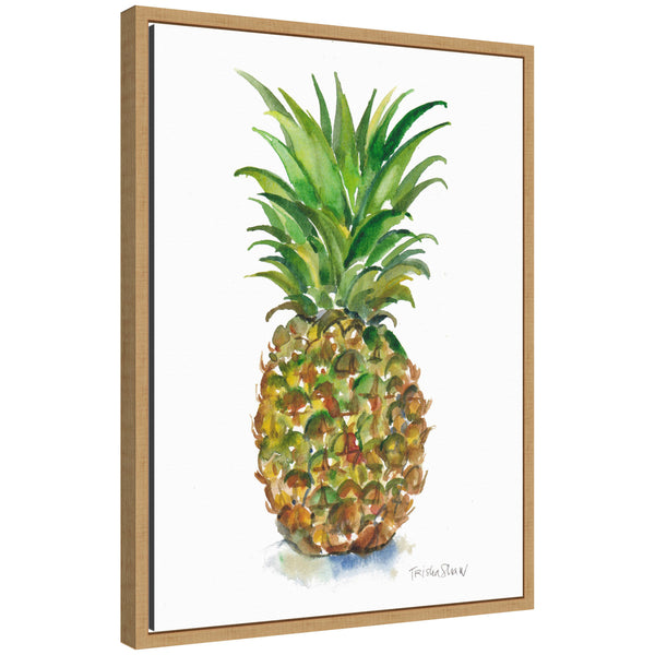 kate & laurel Sylvie Big Bright Pineapple Framed Canvas by Patricia Shaw