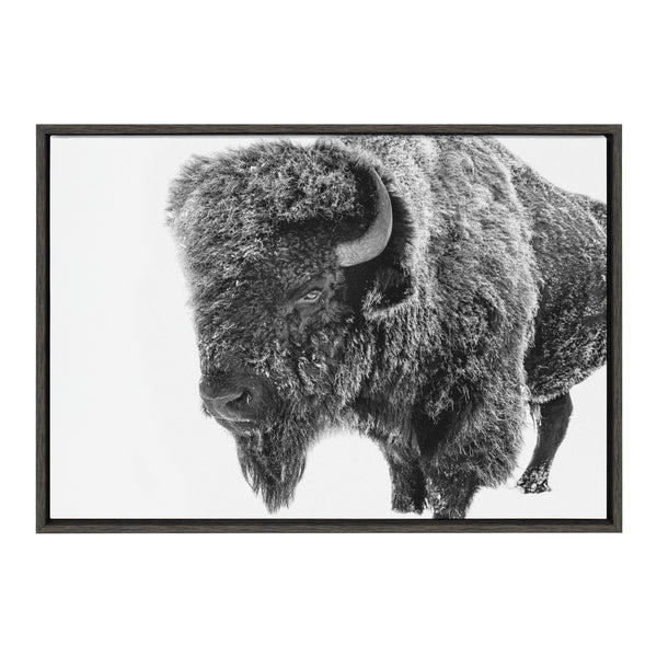 Kate & Laurel Sylvie Bison In Snow Black And White Framed Canvas By Amy Peterson Art Studio
