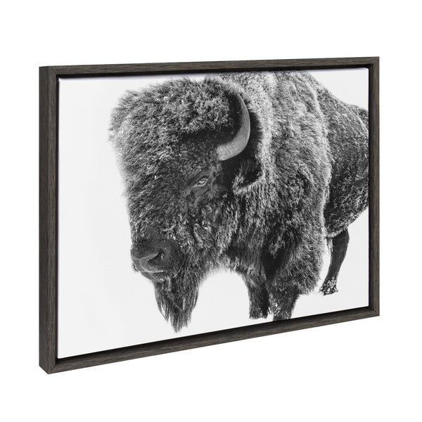 kate & laurel Sylvie Bison in Snow Black and White Framed Canvas by Amy Peterson Art Studio