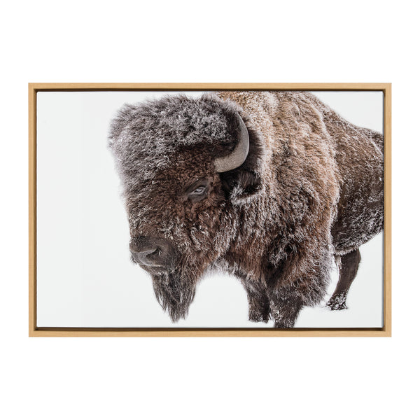 Kate & Laurel Sylvie Bison In Snow Framed Canvas By Amy Peterson Art Studio