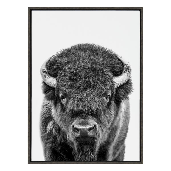 Kate & Laurel Sylvie Bison Portrait Black And White Framed Canvas By Amy Peterson Art Studio
