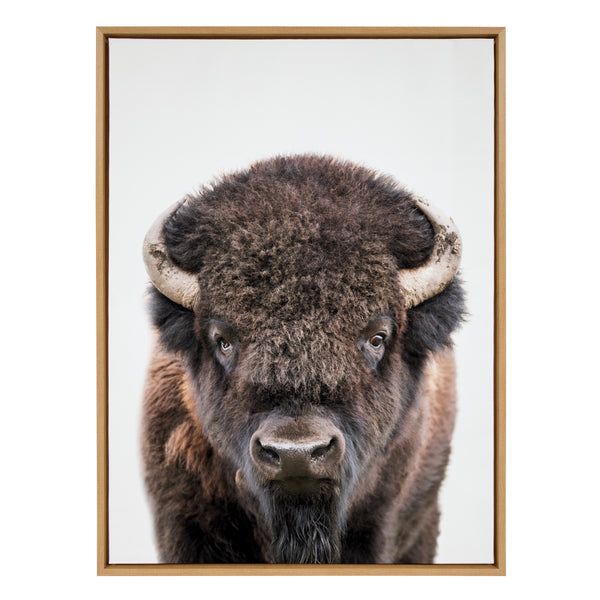 Kate & Laurel Sylvie Bison Portrait Framed Canvas By Amy Peterson Art Studio