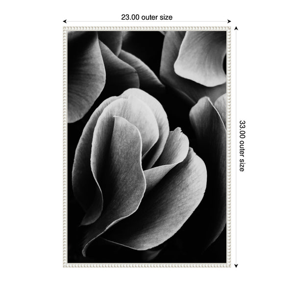 Kate & Laurel Sylvie Black And White Flower Petals Framed Canvas By Emiko And Mark Franzen Of F2Images