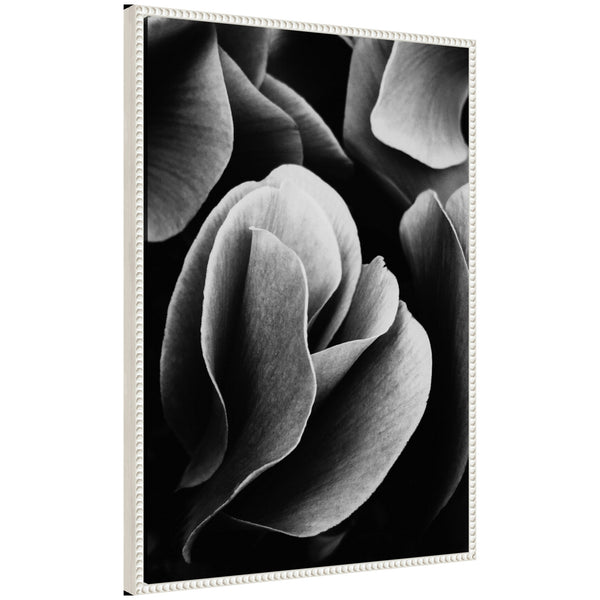 kate & laurel Sylvie Black and White Flower Petals Framed Canvas by Emiko and Mark Franzen of F2Images