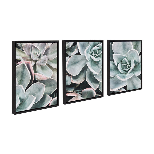 Kate & Laurel Sylvie Botanical Succulent Plants Framed Canvas Set By The Creative Bunch Studio