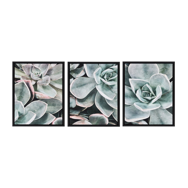 kate & laurel Sylvie Botanical Succulent Plants Framed Canvas Set by The Creative Bunch Studio