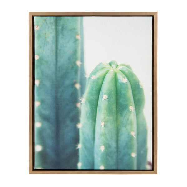 kate & laurel Sylvie Cactus Framed Canvas by F2 Images