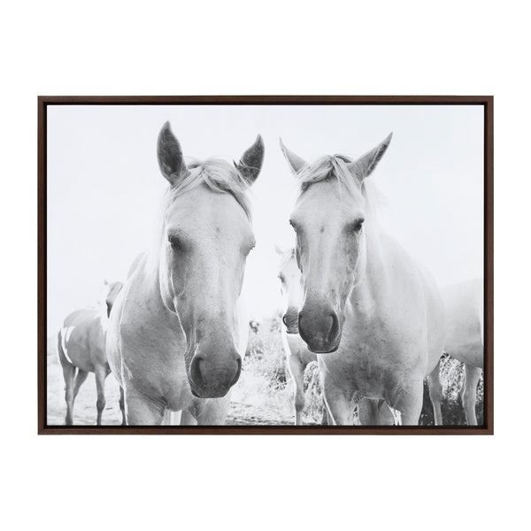 kate & laurel Sylvie Camargue Horse XVII BW Framed Canvas by Laura Evans