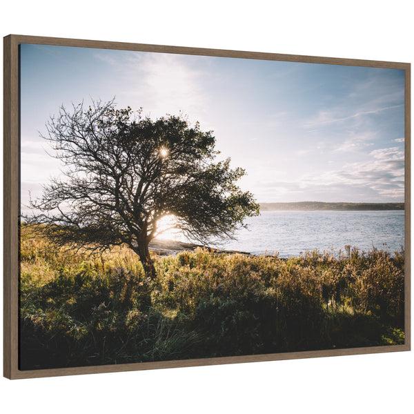 kate & laurel Sylvie Coastal Serene Sunset Tree Landscape Framed Canvas by Patricia Hasz of Patricia Rae Photography