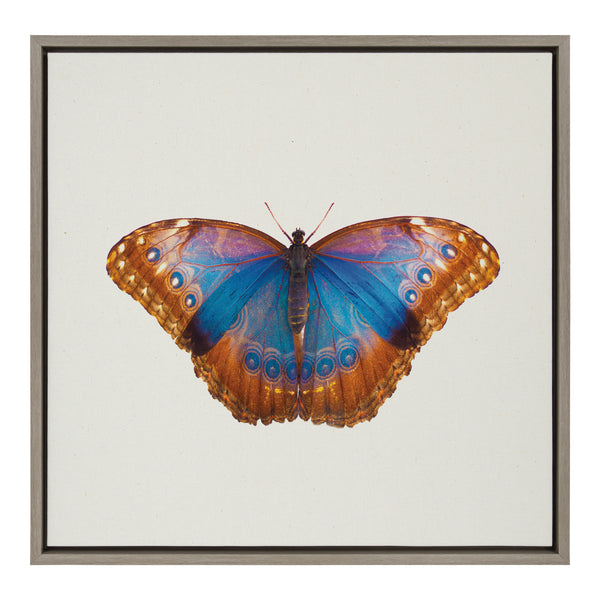 kate & laurel Sylvie Coppertop Butterfly Framed Canvas by Robert Cadloff of Bomobob
