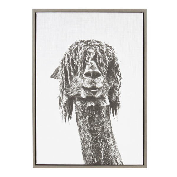 Kate & Laurel Sylvie Curly Hair Alpaca Framed Canvas By Simon Te Tai