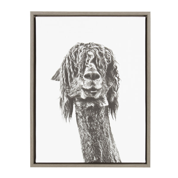 kate & laurel Sylvie Curly Hair Alpaca Framed Canvas by Simon Te Tai