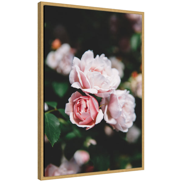 kate & laurel Sylvie Delicate Light Pink Rose Floral Framed Canvas by Patricia Hasz of Patricia Rae Photography