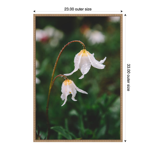 Kate & Laurel Sylvie Delicate White Floral Petals Framed Canvas By Patricia Hasz Of Patricia Rae Photography