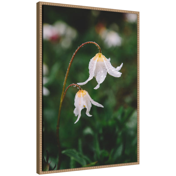 kate & laurel Sylvie Delicate White Floral Petals Framed Canvas by Patricia Hasz of Patricia Rae Photography