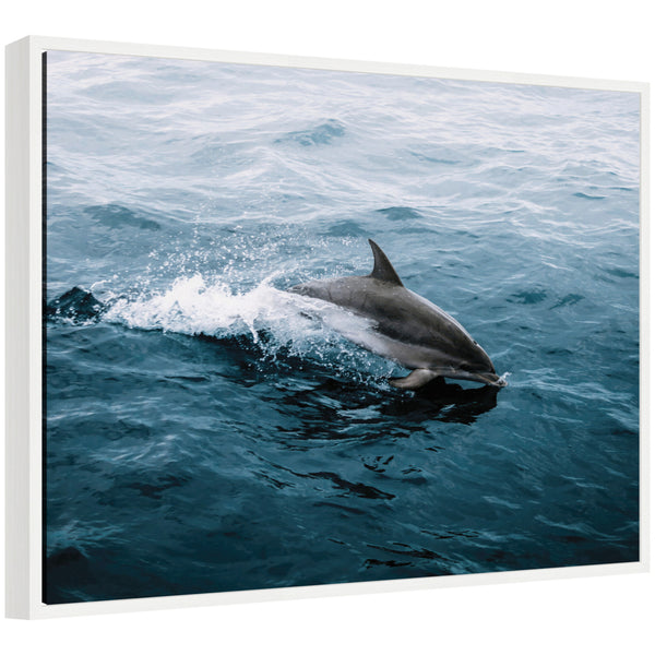 Kate & Laurel Sylvie Dolphin Skipping Along In The Ocean Framed Canvas By Michael Schauer