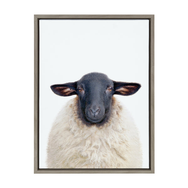 Kate & Laurel Sylvie Dorper Sheep Framed Canvas By Amy Peterson Art Studio