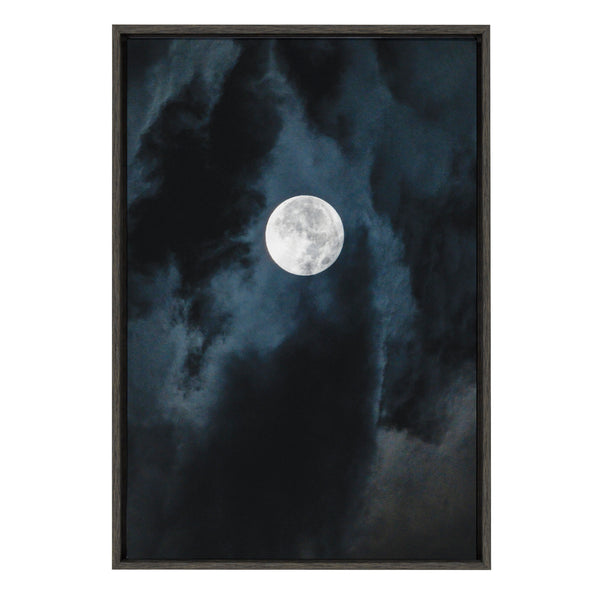 Kate & Laurel Sylvie Driftless Moon Framed Canvas By Pete Olsen
