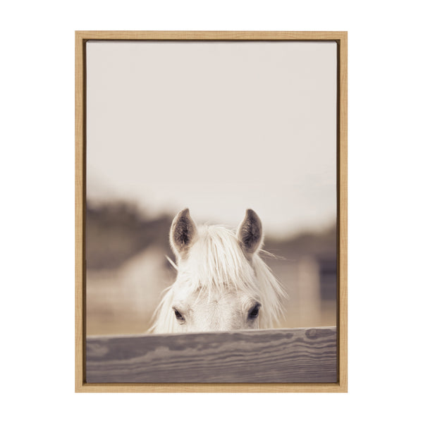 Kate & Laurel Sylvie Equine Framed Canvas By Robert Cadloff Of Bomobob