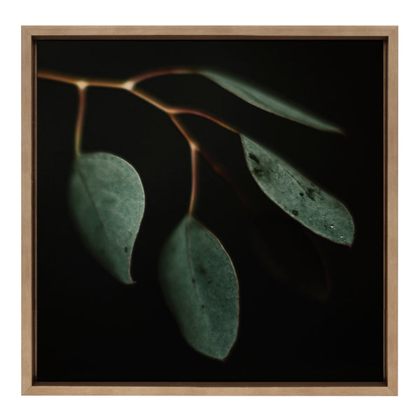 kate & laurel Sylvie Eucalyptus Leaves Framed Canvas by Alicia Abla