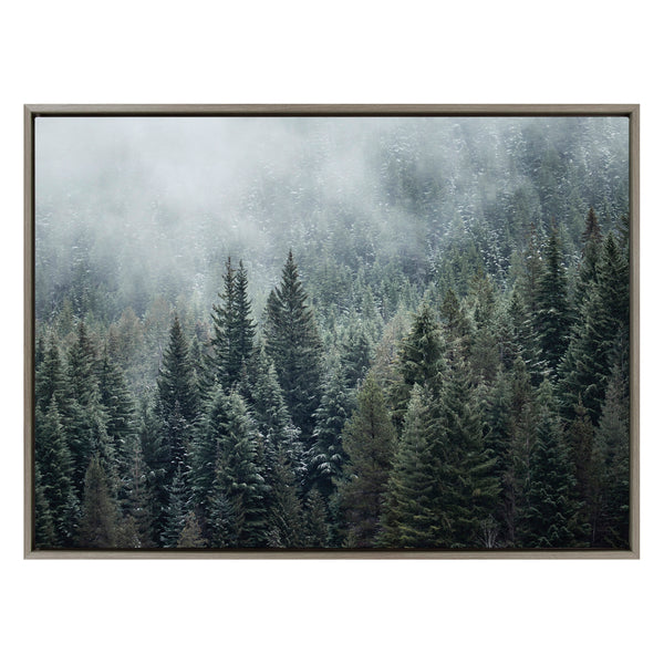 Kate & Laurel Sylvie Evergreen Dream 2 Framed Canvas By Emiko And Mark Franzen Of F2Images