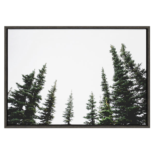 Kate & Laurel Sylvie Evergreens Framed Canvas By Patricia Hasz Of Patricia Rae Photography