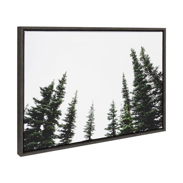Kate & Laurel Sylvie Evergreens Framed Canvas By Patricia Hasz Of Patricia Rae Photography