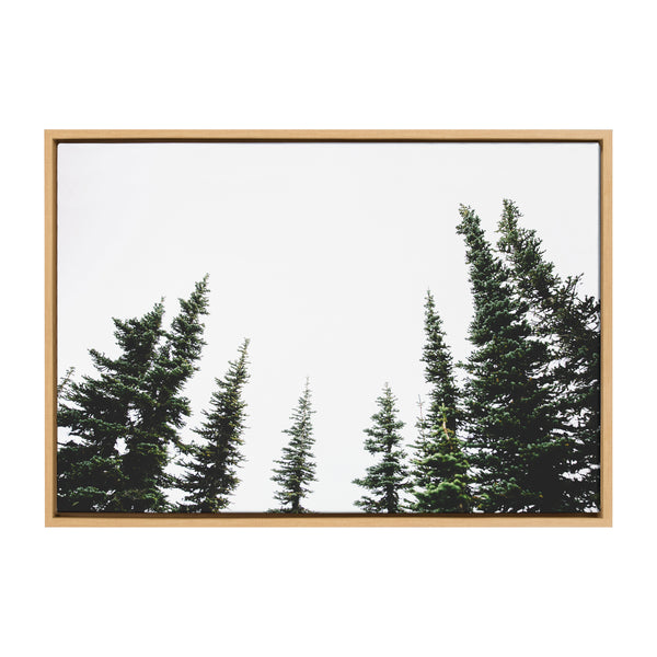 kate & laurel Sylvie Evergreens Framed Canvas by Patricia Hasz of Patricia Rae Photography