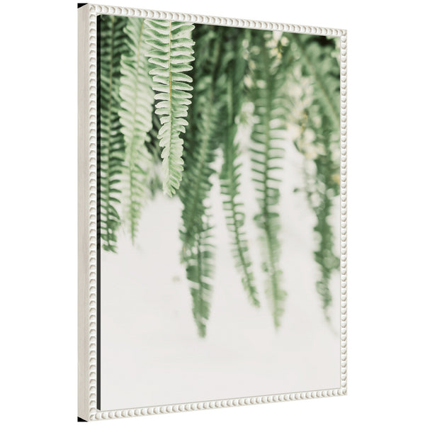 kate & laurel Sylvie Fern Framed Canvas by Alicia Abla